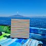 Coloured lines 6 2023 Sorrento, 30x30, Acryl-Acrylstifte auf LW, € 290 SOLD